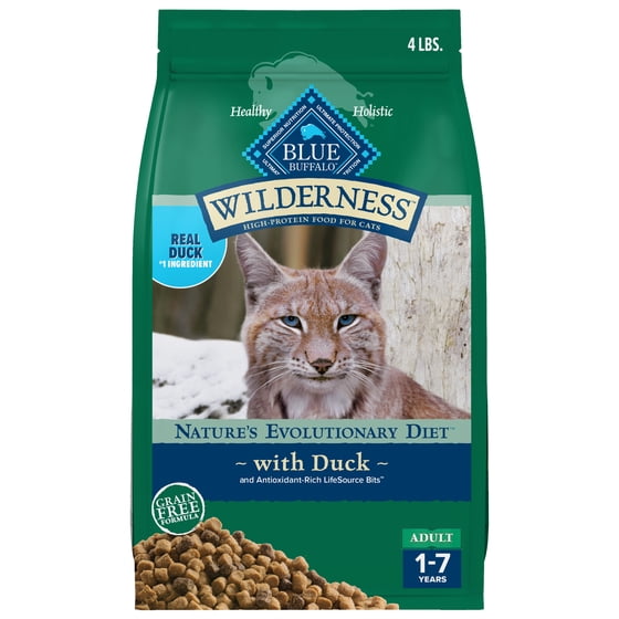 High Protein Dry Cat Food