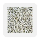 Safflower Bird Seeds