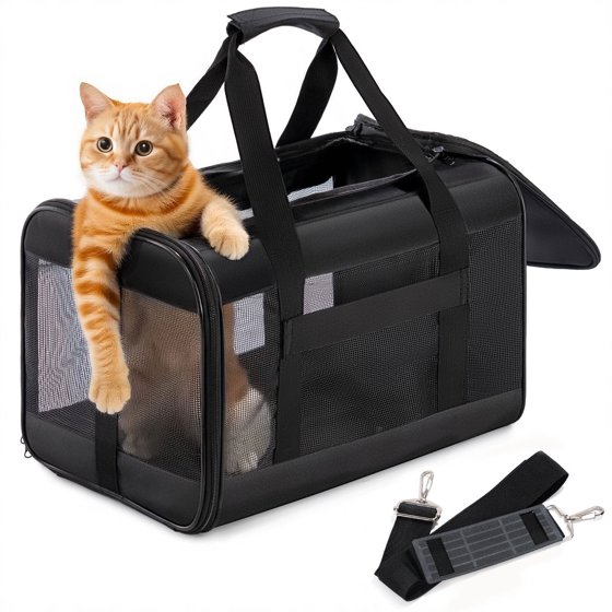Airline Approved Cat Carriers