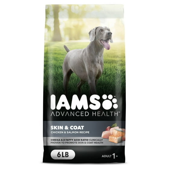 Skin & coat dry dog food