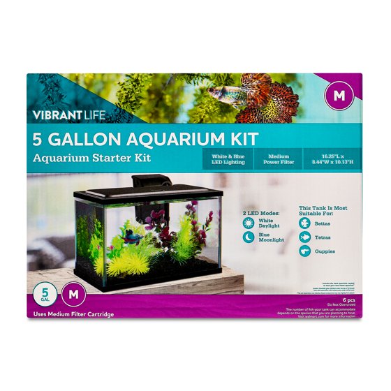5 Gallon Fish Tank