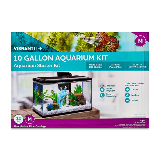 10 Gallon Fish Tank