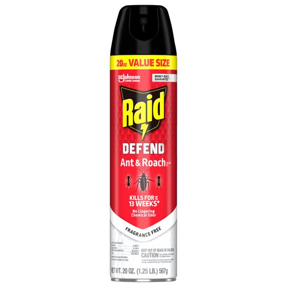Raid