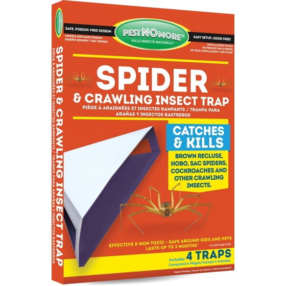 Spider Traps