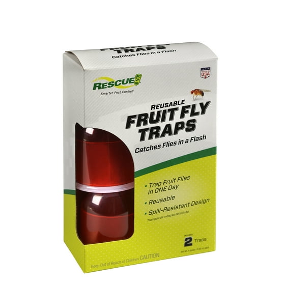 Fruit Fly Trap