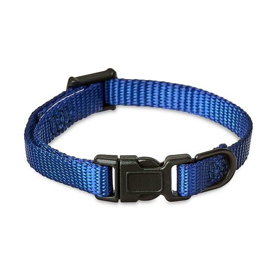 dog collars