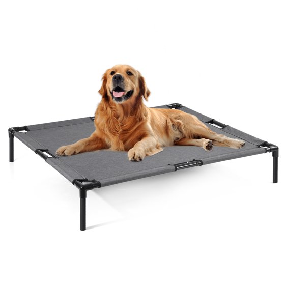 Elevated Dog Beds
