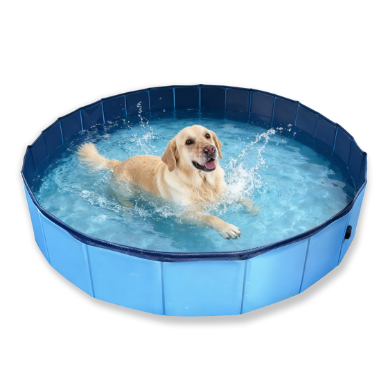 Dog Pools