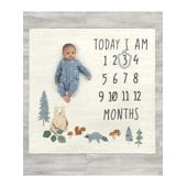 Milestone blankets