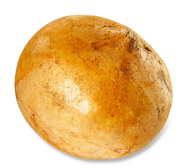 Fresh Jicama, Each, 1 Count product-image