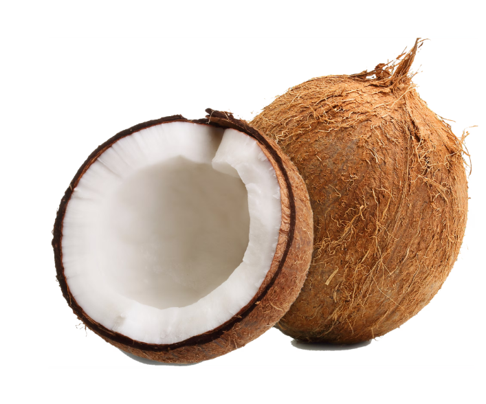 Fresh Coconut, Each, 1 Count product-image