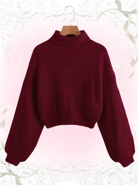 Kawaii Turtleneck Long Sleeve Sweater, School,Long Sleeve Tops