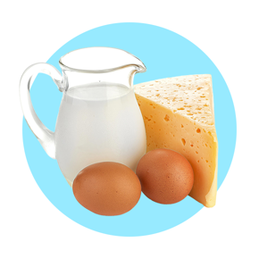 dairy eggs & cheese2