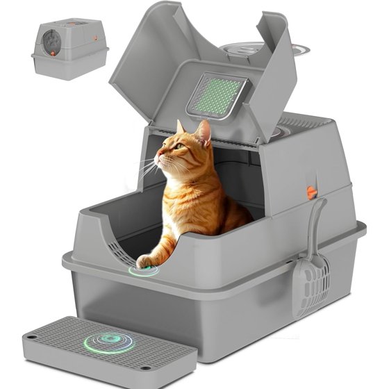 Cat Litter Boxes