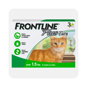 Cat flea & tick