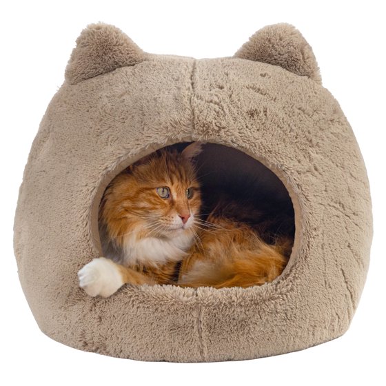 Cat Beds